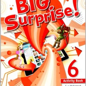 Big Surprise 6: Activity Book and Multi-ROM Pack