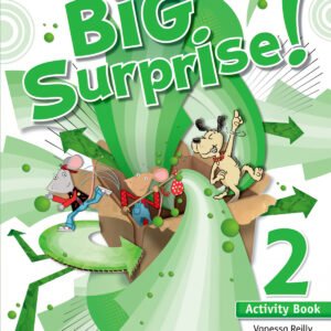 Big Surprise 2: : Activity Book