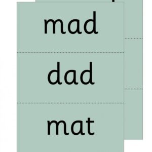 READ WRITE INC.PHONICS:GREEN WORD CARDS