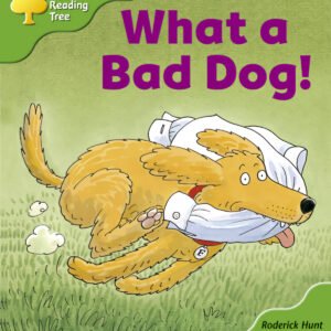 Oxford Reading Tree Stage 2: Big Book Pack