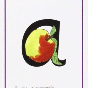 READ WRITE INC:SET 1:SPEED SOUND CARDS