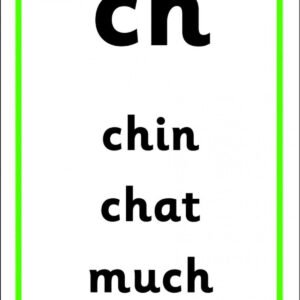 FLOPPY´S PHONICS: SOUNDS AND LETTERS: FLASHCARDS