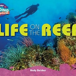 Life On The Reef