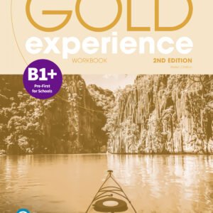 GOLD EXPERIENCE B1+ WORKBOOK