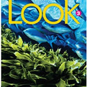 Look Level 3 BrE Workbook