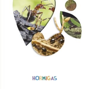 HORMIGAS 5 AÑOS 2018