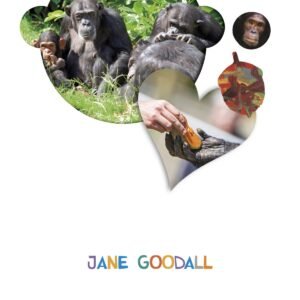 JANE GOODALL 4 AÑOS. PROYECTOS ¿LO VES?