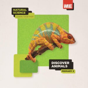 Discover animals. Natural Science Learn Together 2º