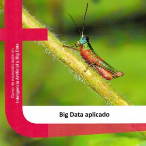 BIG DATA APLICADO