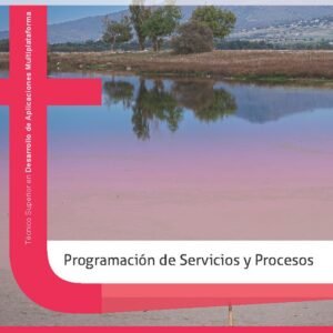 PROGRAMACION DE SERVICIOS Y PROCESOS - 3ª EDICION