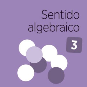 Sentido algebraico 3. Capicúa 5 años