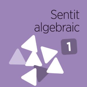 Sentit algebraic 1. Capicua 3 anys