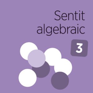 Sentit algebraic 3. Capicua 5 anys