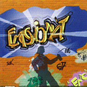 Programa desenvolupament competències emocionals