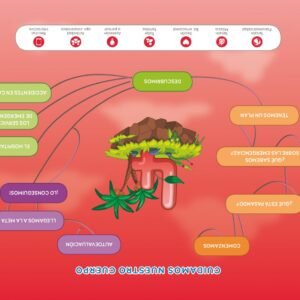 PROYECTO EXPLORA EMERGENCIAS 112 4 AÑOS NIVEL 2